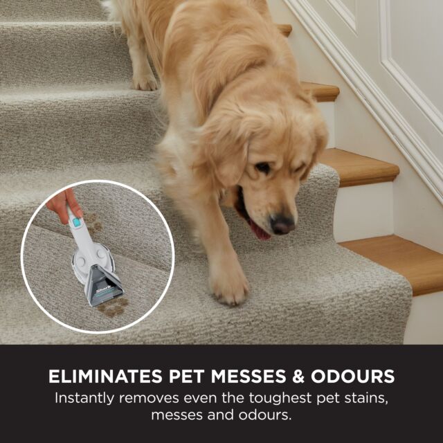 Shark PX200UKT StainStriker Pet Stain and Spot Cleaner