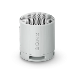 Sony SRSXB100H Grey XB100 Compact Bluetooth Speaker